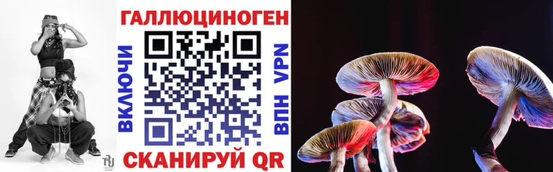 Псилоцибиновые грибы Psilocybine cubensis цена Сатка