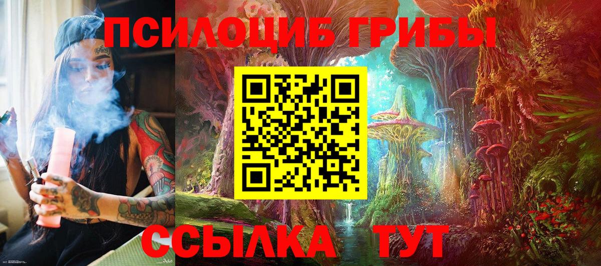 Сатка  Псилоцибиновые грибы MAGIC MUSHROOMS  Псилоцибиновые грибы мицелий  Вход с VPN 