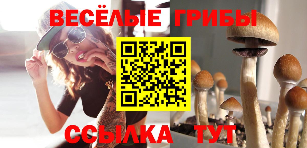 Псилоцибиновые грибы мицелий Сатка