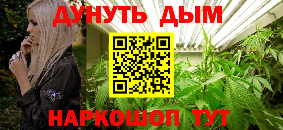 Шишки марихуана марихуана  Вход с VPN  Конопля SATIVA & INDICA  Марихуана план  Сатка 